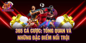 365 Cá Cược - Tổng Quan Và Những Đặc Điểm Nổi Trội