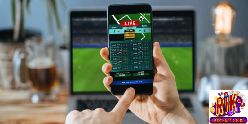 Giới thiệu về 365 cá cược