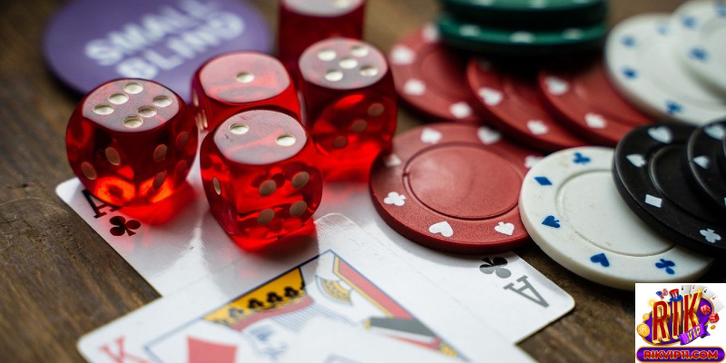 365 cá cược net là gì?