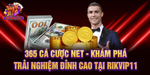 365 Cá Cược Net - Khám Phá Trải Nghiệm Đỉnh Cao Tại Rikvip