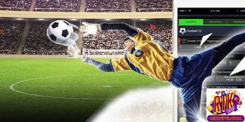 Sơ lược về tỷ lệ cá cược World Cup