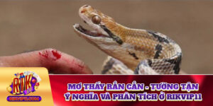 Mơ Thấy Rắn Cắn - Tường Tận Ý Nghĩa Và Phân Tích Ở Rikvip